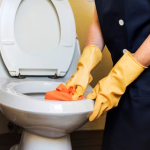 How To Clean A Toilet From Urinary Stones At Home Quickly And Effectively