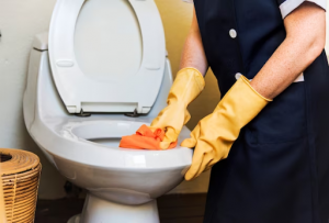 How To Clean A Toilet From Urinary Stones At Home Quickly And Effectively