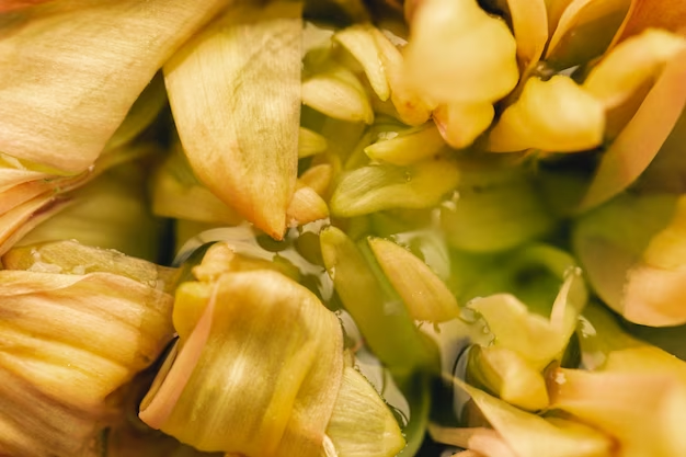 Yellow leaves on gardenia plant - causes and treatments