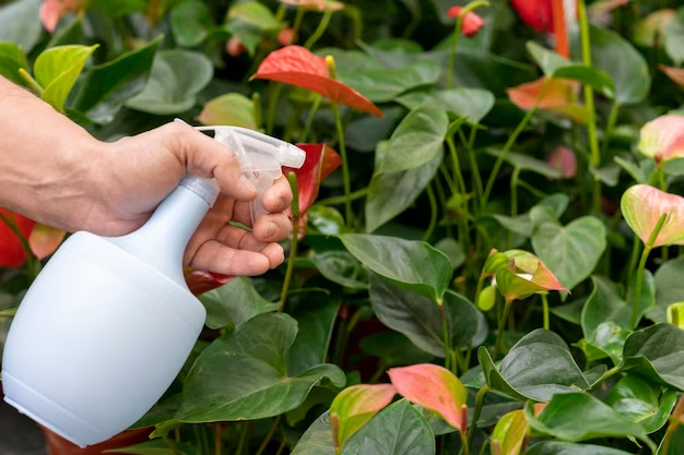  Solutions for yellow leaves on gardenia plants
